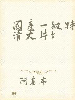 国产一级特黄高清大片t