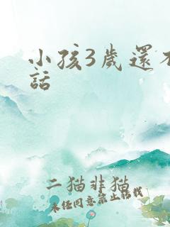 小孩3岁还不说话