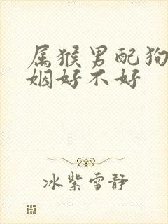 属猴男配狗女婚姻好不好