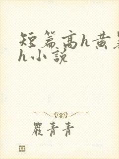 短篇高h黄暴辣h小说
