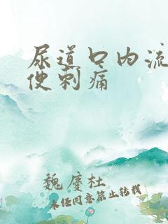 尿道口内流脓小便刺痛