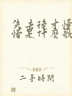 失去后才懂得珍惜是什么歌