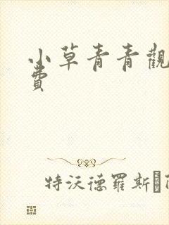小草青青观看免费