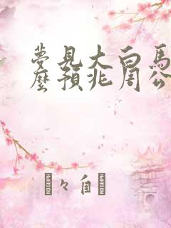 梦见大白马是什么预兆周公解梦