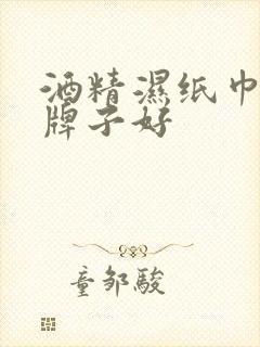 酒精湿纸巾哪个牌子好