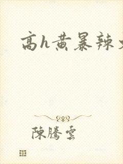 高h黄暴辣文