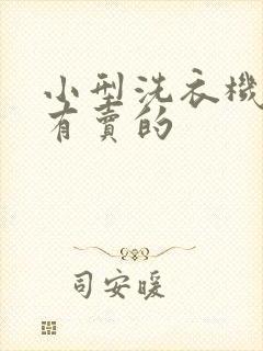 小型洗衣机哪里有卖的