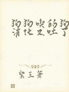 狗狗吃的狗粮没消化又吐了