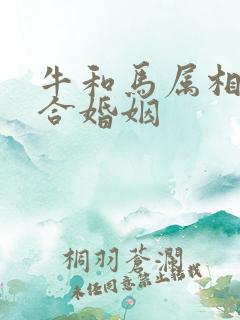 牛和马属相合不合婚姻
