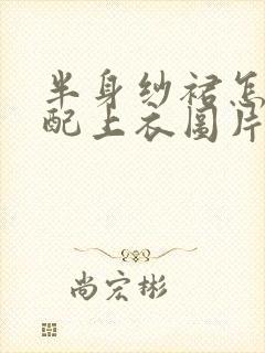 半身纱裙怎么搭配上衣图片夏天