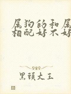 属狗的和属猴的相配好不好