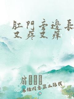 肛门旁边长疙瘩又疼又痒