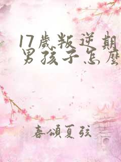 17岁叛逆期的男孩子怎么去引导