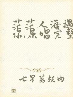 茫茫人海遇见了你,原唱完整版的