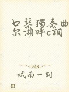 口琴独奏曲贝加尔湖畔c调