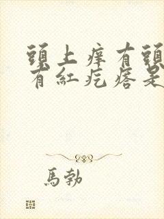 头上痒有头屑还有红疙瘩是怎么回事