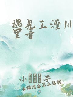 遇见王沥川在哪里看