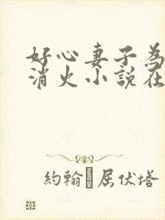 好心妻子为乞丐消火小说在线阅读