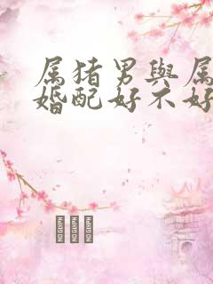 属猪男与属龙女婚配好不好