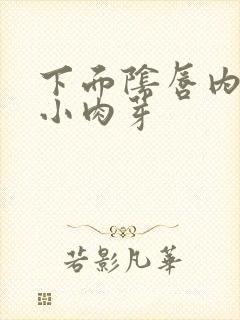 下面阴唇内侧长小肉芽