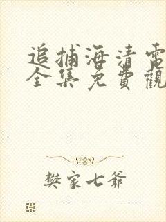 追捕海清电视剧全集免费观看