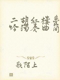 二胡红楼梦葬花吟独奏曲简谱