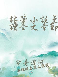 林萧小说免费阅读全文章节