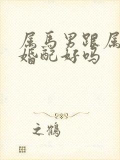 属马男跟属猴女婚配好吗