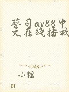 葵司av88中文在线播放