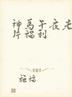 神马午夜老子特片福利