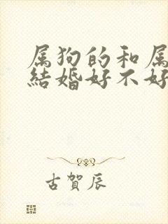 属狗的和属虎的结婚好不好