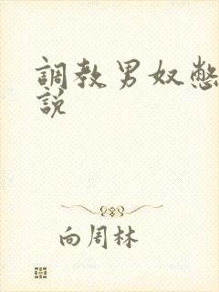 调教男奴憋尿小说