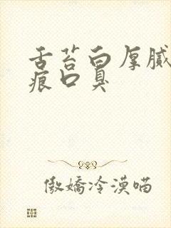 舌苔白厚腻有齿痕口臭