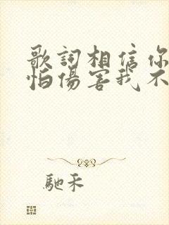 歌词相信你只是怕伤害我不是骗我的下一句