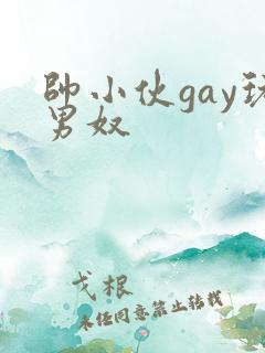 帅小伙gay玩男奴