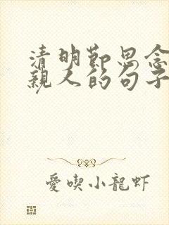 清明节思念逝去亲人的句子 经典