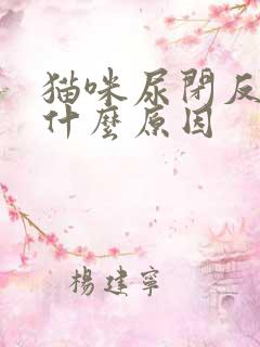 猫咪尿闭反复是什么原因