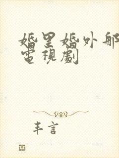 婚里婚外那些事电视剧