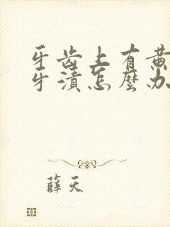 牙齿上有黄黑的牙渍怎么办