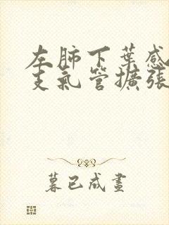 左肺下叶感染伴支气管扩张