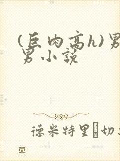 (巨肉高h)男男小说