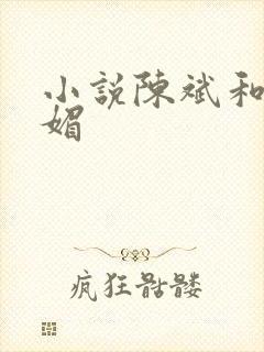 小说陈斌和赵心媚