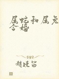 属蛇和属兔合不合婚