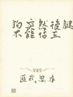 狗突然后腿无力不能站立