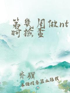 第几周做nt排畸检查