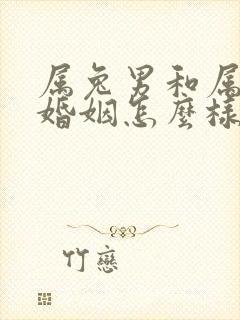 属兔男和属蛇女婚姻怎么样