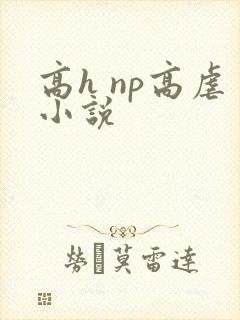 高h np高虐小说