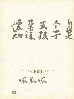 怀孕五个月怎么知道孩子是谁的