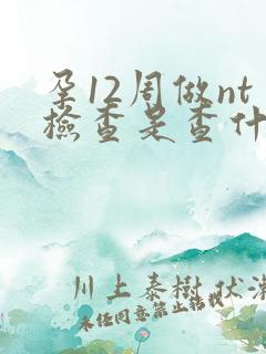 孕12周做nt检查是查什么