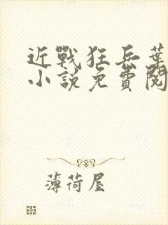 近战狂兵叶军浪小说免费阅读